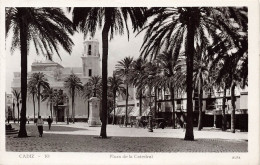 ESPAGNE - Cadiz - Plaza De La Catedral - Carte Postale Ancienne - Other & Unclassified