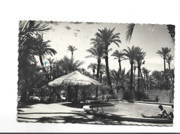 CPM PHOTO ELCHE  CAMPING PALMERAL , PISCINA  En 1960! (voir Timbre) - Alicante