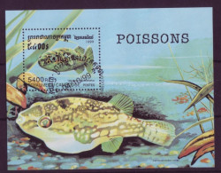 Asie - Cambodge - 1999 BLF - Poissons - 5762 - Cambodge
