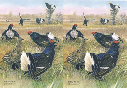 608  Tétras Lyre (Lyrurus Tetrix, Tetrao Tetrix): 2 Cpa D'Allemagne -  Black Grouse Blackcock. Petit Coq De Bruyère - Gallinacées & Faisans