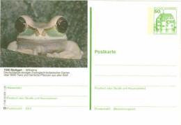 819  Grenouille, Zoo: Entier (c.p.) D'Allemagne, 1982 - Frog, Wilhelma Zoo, Stuttgart Stationery Postcard - Grenouilles