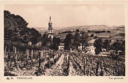 FRANCE - Verdelais - Vue Générale - Carte Postale Ancienne - Verdelais