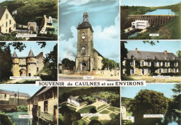 FRANCE - Souvenir De Caulnes Et Ses Environs - Château De Beaumont En Guitté - Multivues - Carte Postale - Andere & Zonder Classificatie
