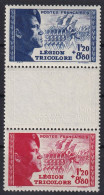 FRANCE 1942 - MNH - YT 565, 566 - Unused Stamps