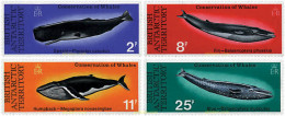 29253 MNH ANTARTIDA BRITANICA 1977 CONSERVACION DE LOS CETACEOS - Unused Stamps