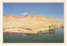 AFGHANISTAN - Mosquée De Kuch Et Ali - Colorisé - Carte Postale - Afganistán