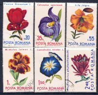 Rumänien 1971 - Blütenpflanzen, Nr. 2940 - 2945, Gestempelt / Used - Used Stamps