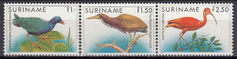 Suriname 1985 (MNH) (Mi 1146-1148) - Purple Gallinule, Rufescent Tiger Heron, Scarlet Ibis - Collections, Lots & Séries