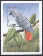 Sierra Leone 1999 (MNH) (Mi BL417) - Grey Parrot (Psittacus Erithacus) - Collections, Lots & Series