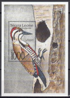 Sierra Leone 1992 (MNH) (MI BL196) - Fire-bellied Woodpecker (Mesopicos Pyrrhogaster) - Collections, Lots & Séries