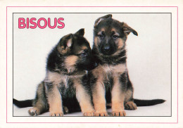 ANIMAUX ET FAUNE - Deux Petits Chiots - Bisous - Colorisé - Carte Postale - Perros