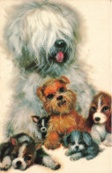 ANIMAUX ET FAUNE - Des Chiens De Races Différentes - Colorisé - Carte Postale - Dogs