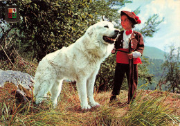 ANIMAUX ET FAUNE - Un Berger De La Maremme - Colorisé - Carte Postale - Dogs