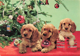 ANIMAUX ET FAUNE - Des Petits Cocker Au Pied Du Sapin - Colorisé - Carte Postale - Hunde