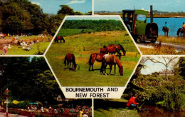 BOURNEMOUTH     ( ROYAUME UNI ) AND NEW FOREST - Bournemouth (depuis 1972)