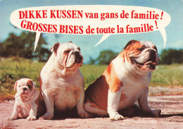 ANIMAUX ET FAUNE - Une Famille De Bouledogue Américain - Colorisé - Carte Postale - Perros