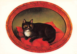 ANIMAUX ET FAUNE - Un Chat Noir Sur Un Coussin - Colorisé - Carte Postale - Gatos