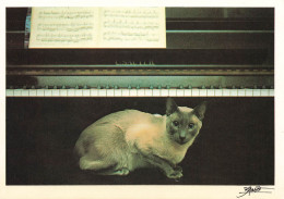 ANIMAUX ET FAUNE -  Un Siamois Près Du Piano - Colorisé - Carte Postale - Cats