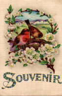 CPSM Souvenir : Oiseaux, Nid, Fleurs - Saluti Da.../ Gruss Aus...