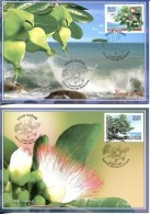 Maxi Cards Maxicards Vietnam Vietnam 2016 : Bang Vuong Truong Sa Plant / Fish Poison Tree. Barringtonia Asiatica (Ms1066 - Viêt-Nam