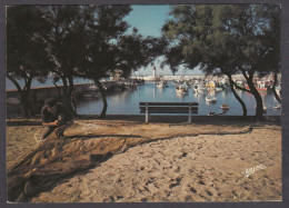 118015/ SAINT-PIERRE-D'OLÉRON, Le Port De La Cotinière - Saint-Pierre-d'Oleron