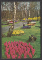 109208/ LISSE, Keukenhof  - Lisse