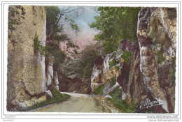 APPOIGNY - Les Gorges - 1953 # 23 - Appoigny