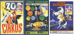 821  Cirque: 3 Cartes Maximum Suéde, 1987 - Set Of 3 Circus Maximum Cards From Sweden With FDCancel - Cirque