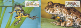 821  Sonneurs: 2 C.maximum Tchécoslovaquie, 1989 - Toad Maximum Cards From Czechoslovakia. WWF Crapauds - Grenouilles