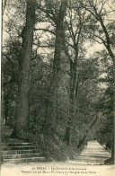 N E R A C     ( LOT Et GARONNE )  -  LES JUMEAUX De LA GARENNE - - Arbres