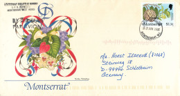 Montserrat Cover Sent To Germany 17-6-2003 Single Overprinted Stamp OHMS - Montserrat