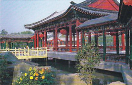 AK 186352 CHINA - The Grand Garden - Chine