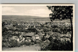 42934558 Erbach Odenwald Panorama Erbach Odenwald - Erbach