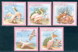 1967 Birds,Dalmatian Pelican,Pelecanus Crispus,nest,Albania, Mi.1138, MNH - Pelikane