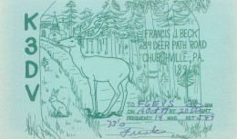 CARTE QSL : CHURCHVILLE . PENNSYLVANIA .1977. ( BEAU DESSIN ANIMALIER ) - Altri & Non Classificati