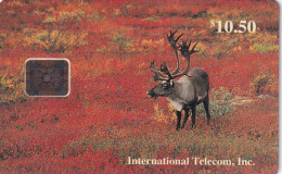 ALASKA - Bull Caribou In Fall, Tirage 4000, 11/93, Mint - Autres - Amérique