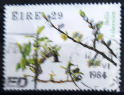 IRLANDE                     N° 537                      OBLITERE - Used Stamps