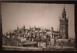 Sevilla. Vista General De La Catedral - Kirchen U. Kathedralen