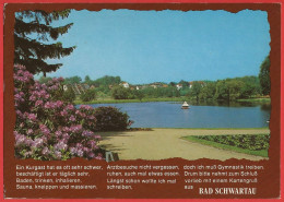 Deutschland - Bad Schwartau : Sanatorium & Kurpark - Gelaufen 1984 - Guter Zustand - Bad Schwartau