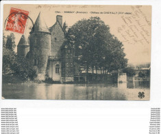 Carte De Massay Château De Chevilly ( Recto Verso ) - Massay