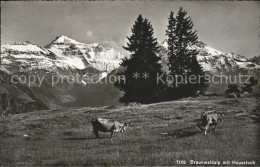 11751610 Braunwald GL Braunwaldalp Mit Hausstock Viehweide Braunwald - Autres & Non Classés