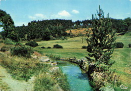 FRANCE - Un Coin De Lozère - Flâner - Les Beaux Sites De France - Ruisseau -Carte Postale - Other & Unclassified