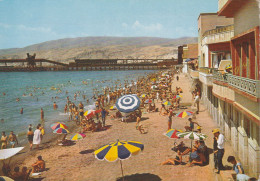 ALMERIA - Almería