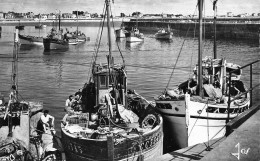 Quiberon * Port Maria * Bateaux De Pêche - Quiberon