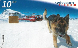 Switzerland: Swisscom CP38 Lawinenhund Marc 08.01. Mint - Schweiz