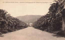 Cavalaire * Avenue De Palmiers De L'hôtel De Pardigon - Cavalaire-sur-Mer