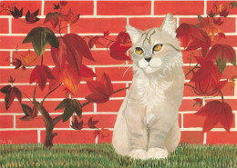 ANIMAUX ET FAUNES - Un Chat Près Du Mur - Colorisé - Carte Postale Ancienne - Katten