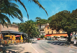 Bormes Les Mimosas * La Place De La Commune * Hôtel BELLEVUE - Bormes-les-Mimosas