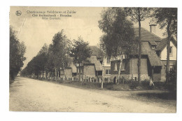 Heusden.   -   Charbonnage Helchteren Et Zolder.   Cité Berrkenbosch  -  Villas Employés.  -  1932  Naar  Overmere - Heusden-Zolder