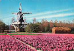 PAYS BAS - Hollande -  Pays Des Moulins Et Des Fleurs - Colorisé - Carte Postale - Otros & Sin Clasificación